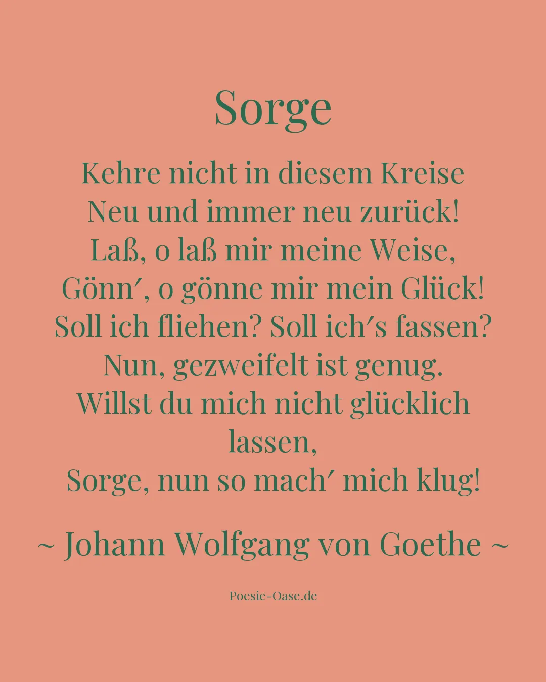 Illustration zu Sorge