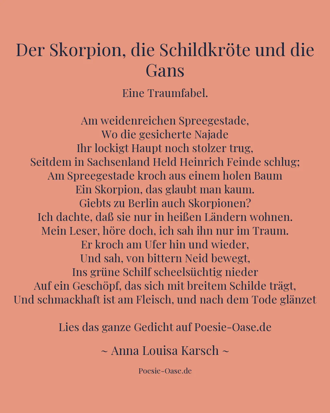 Illustration zu Der Skorpion, die Schildkröte und die Gans
