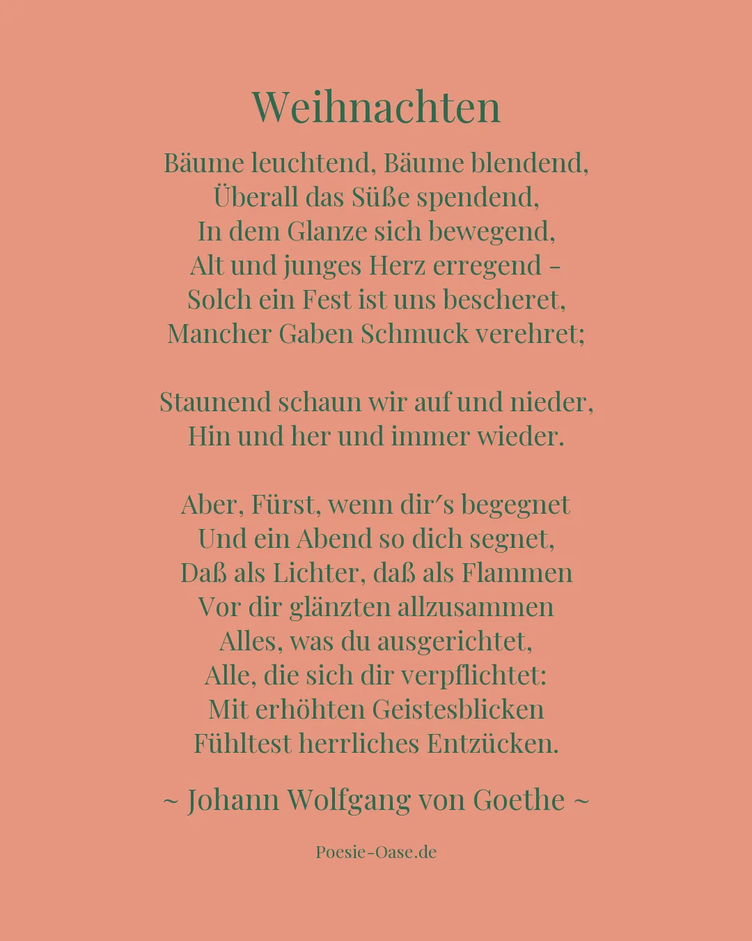 Illustration zu Weihnachten