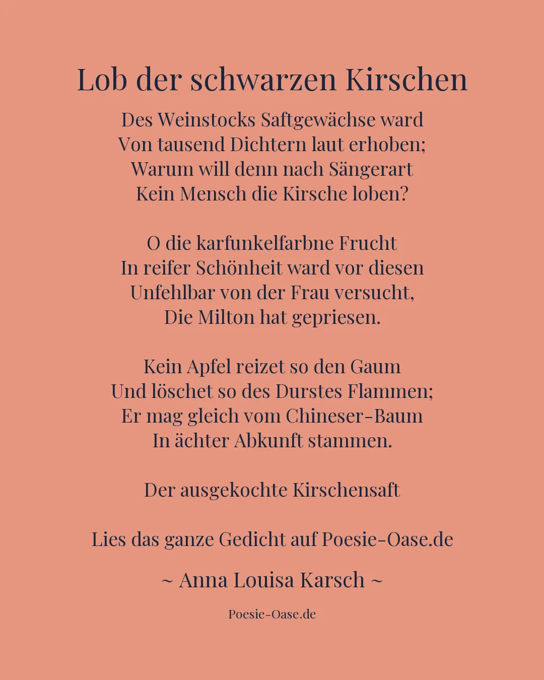 Illustration zu Lob der schwarzen Kirschen