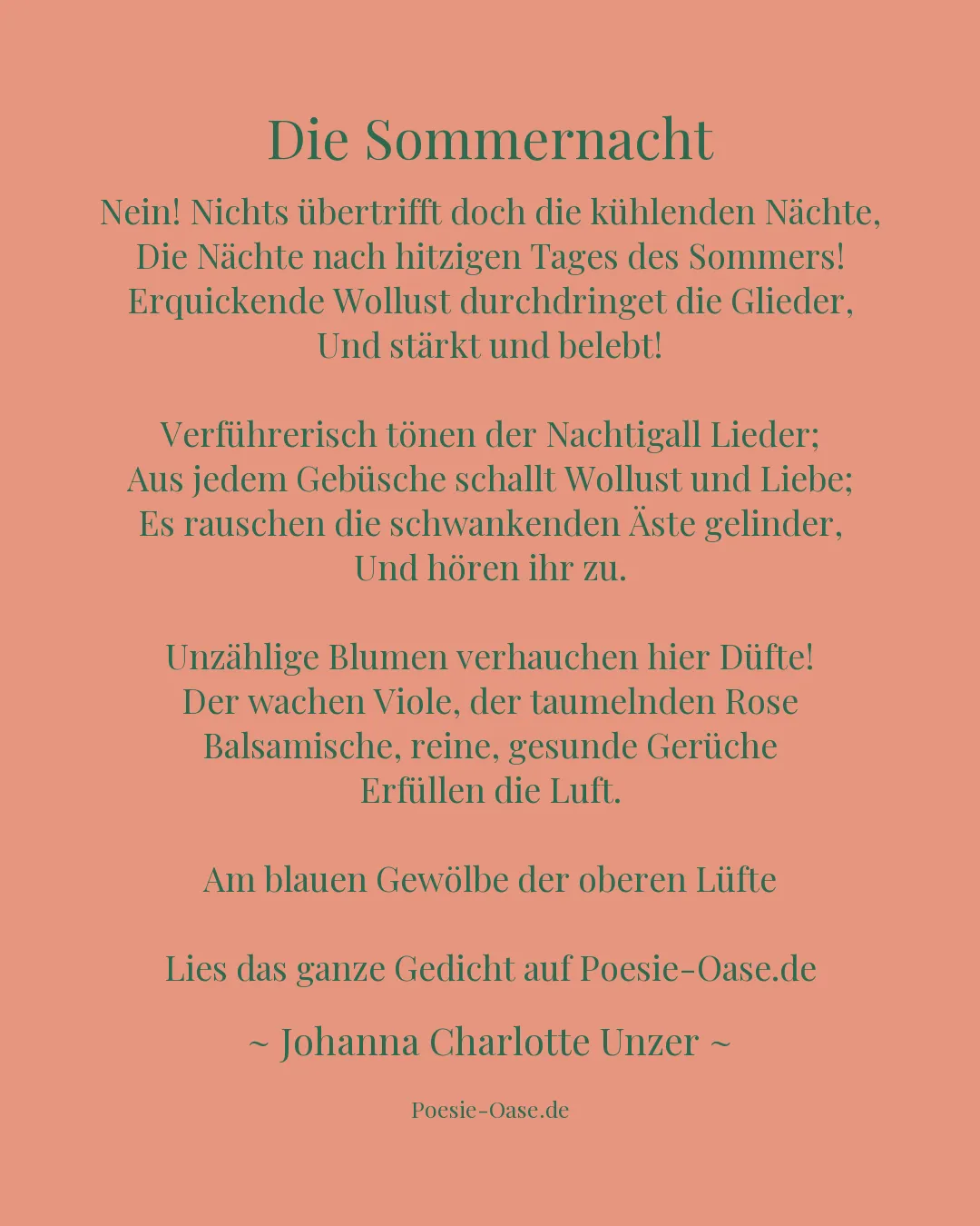 Illustration zu Die Sommernacht