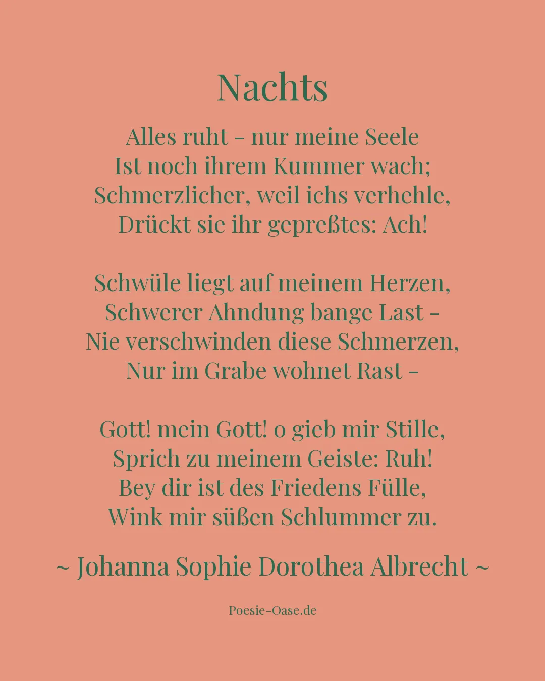 Illustration zu Nachts