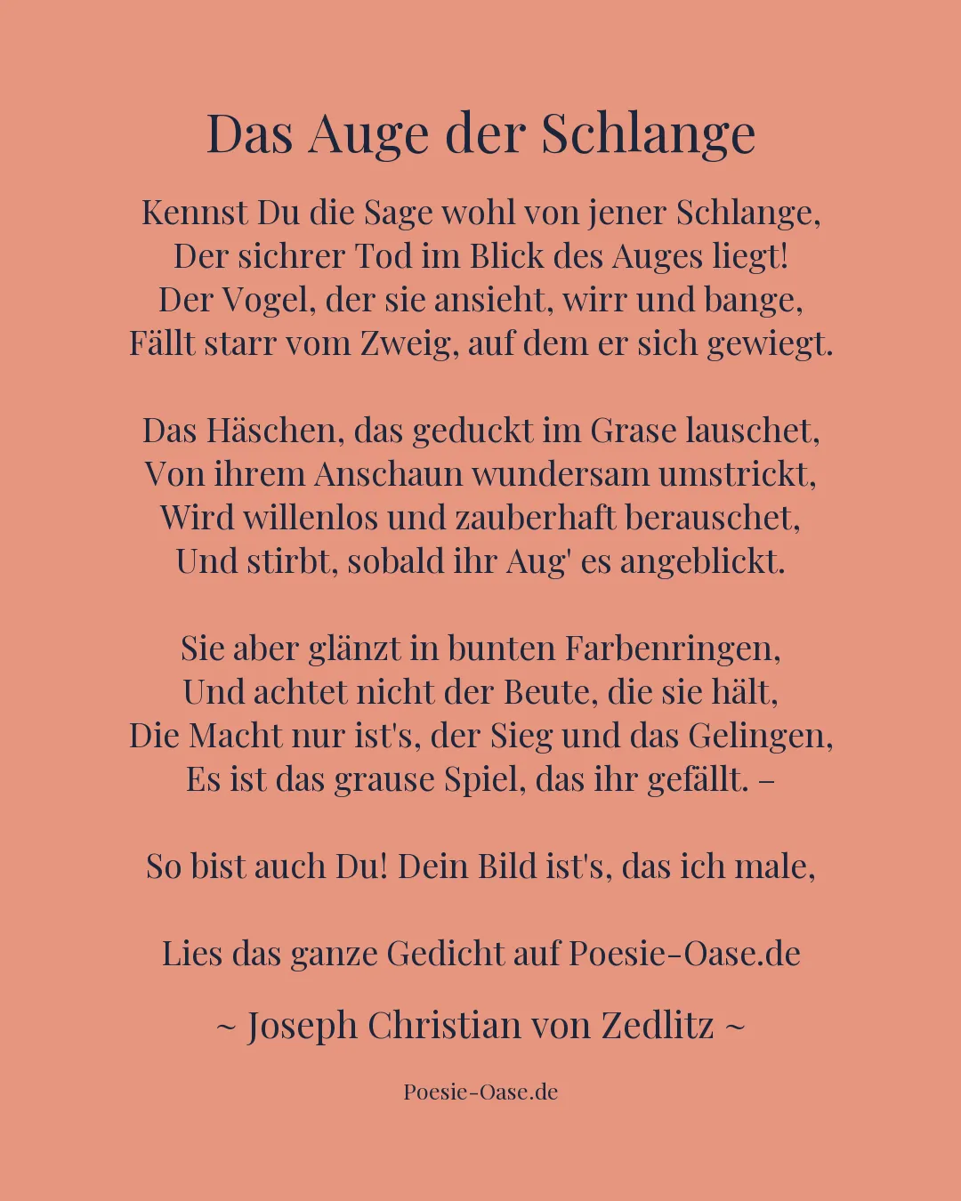Illustration zu Das Auge der Schlange