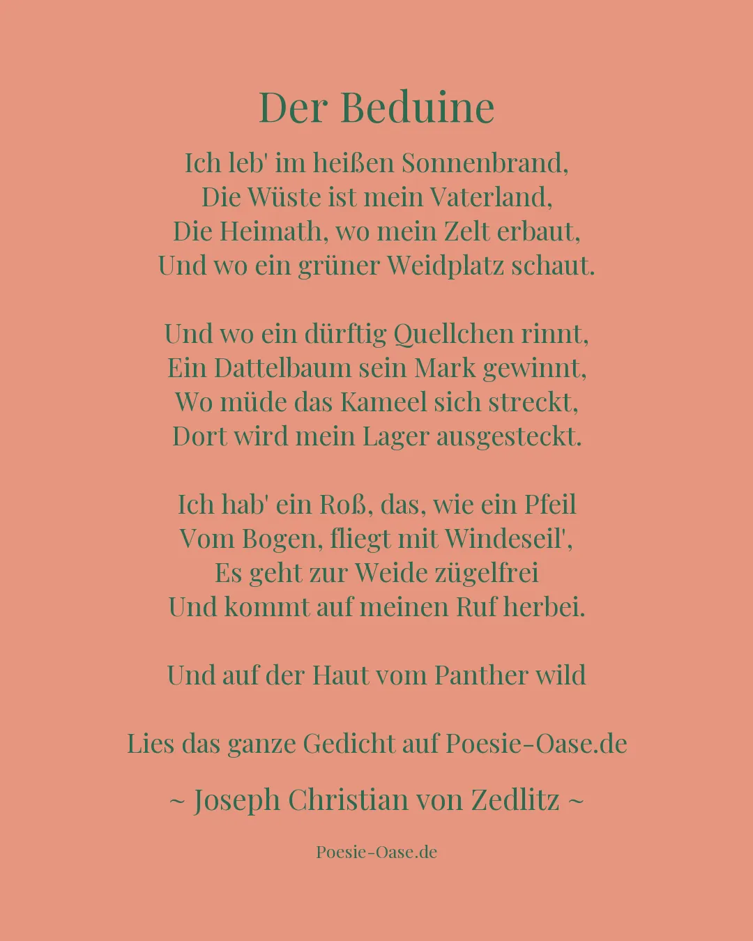 Illustration zu Der Beduine