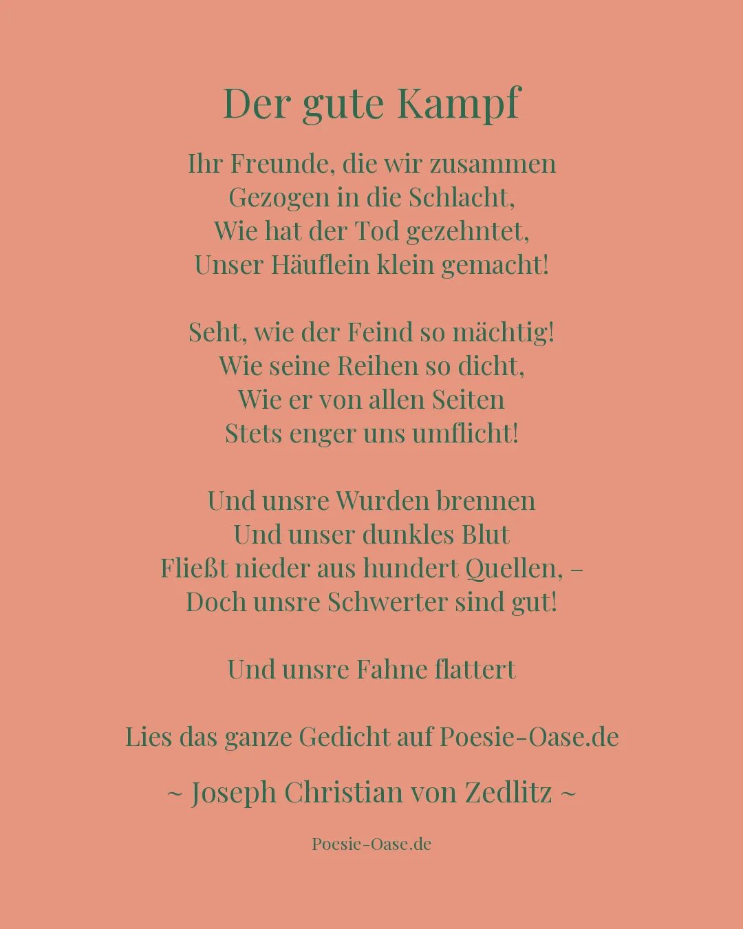 Illustration zu Der gute Kampf