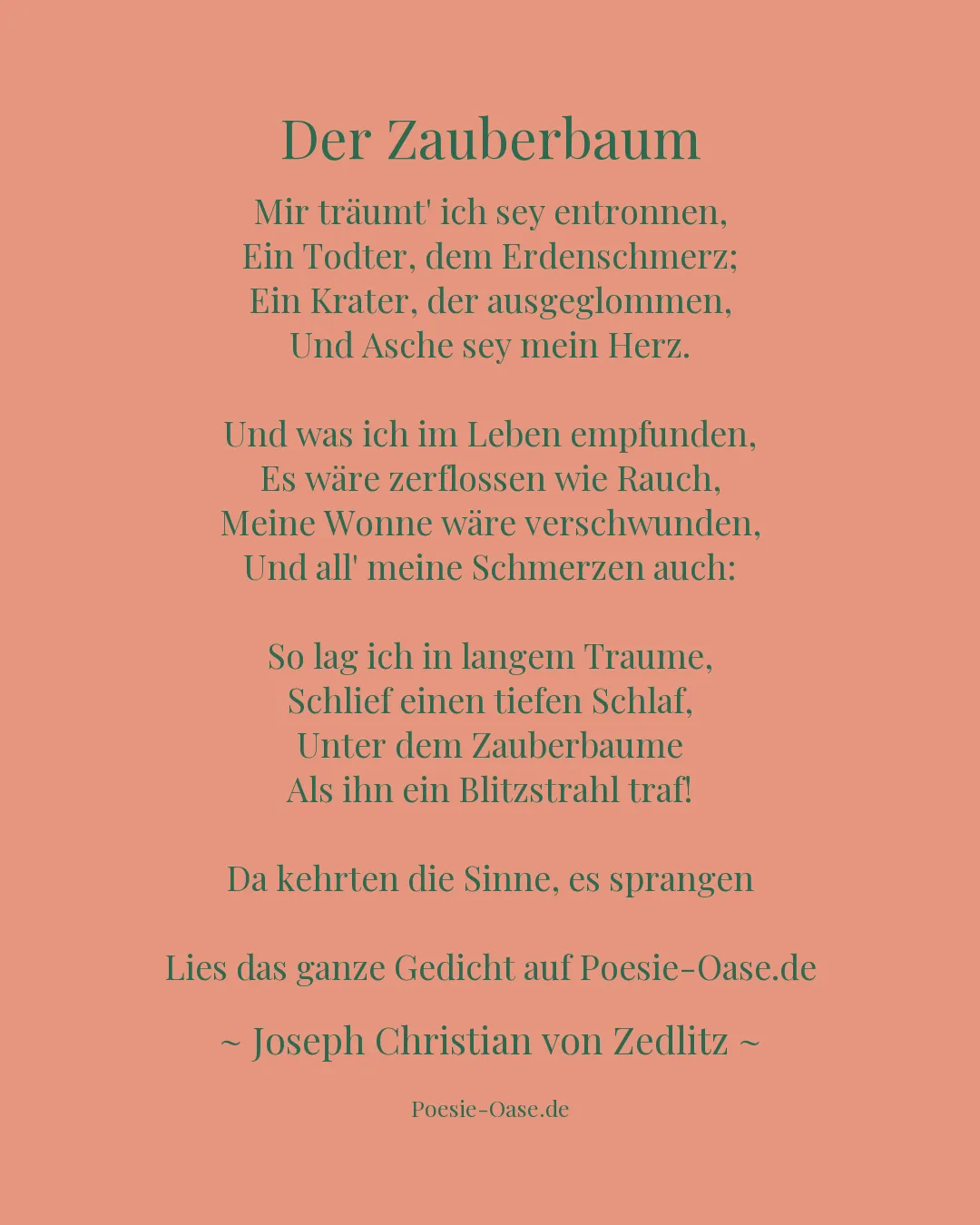 Illustration zu Der Zauberbaum