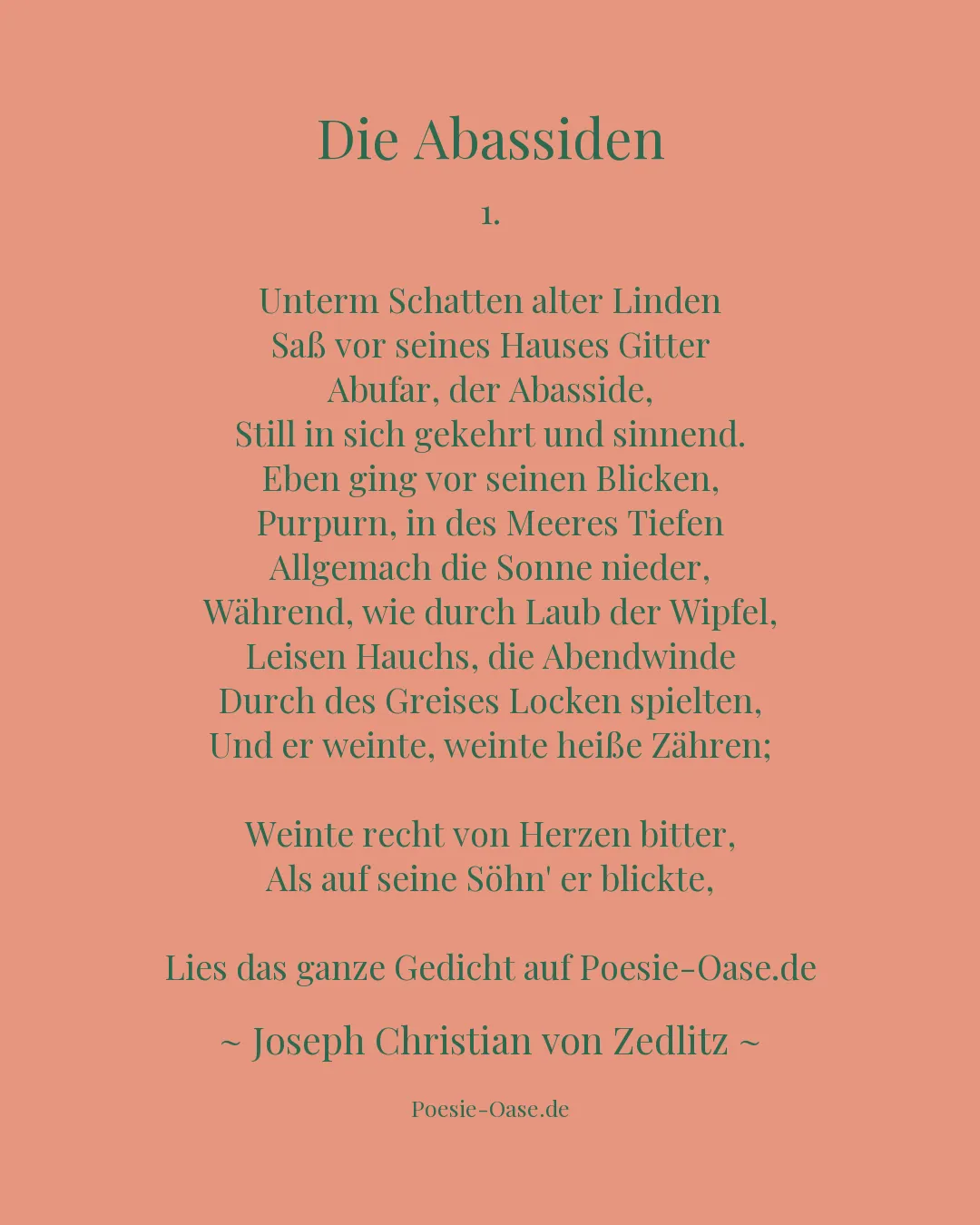 Illustration zu Die Abassiden