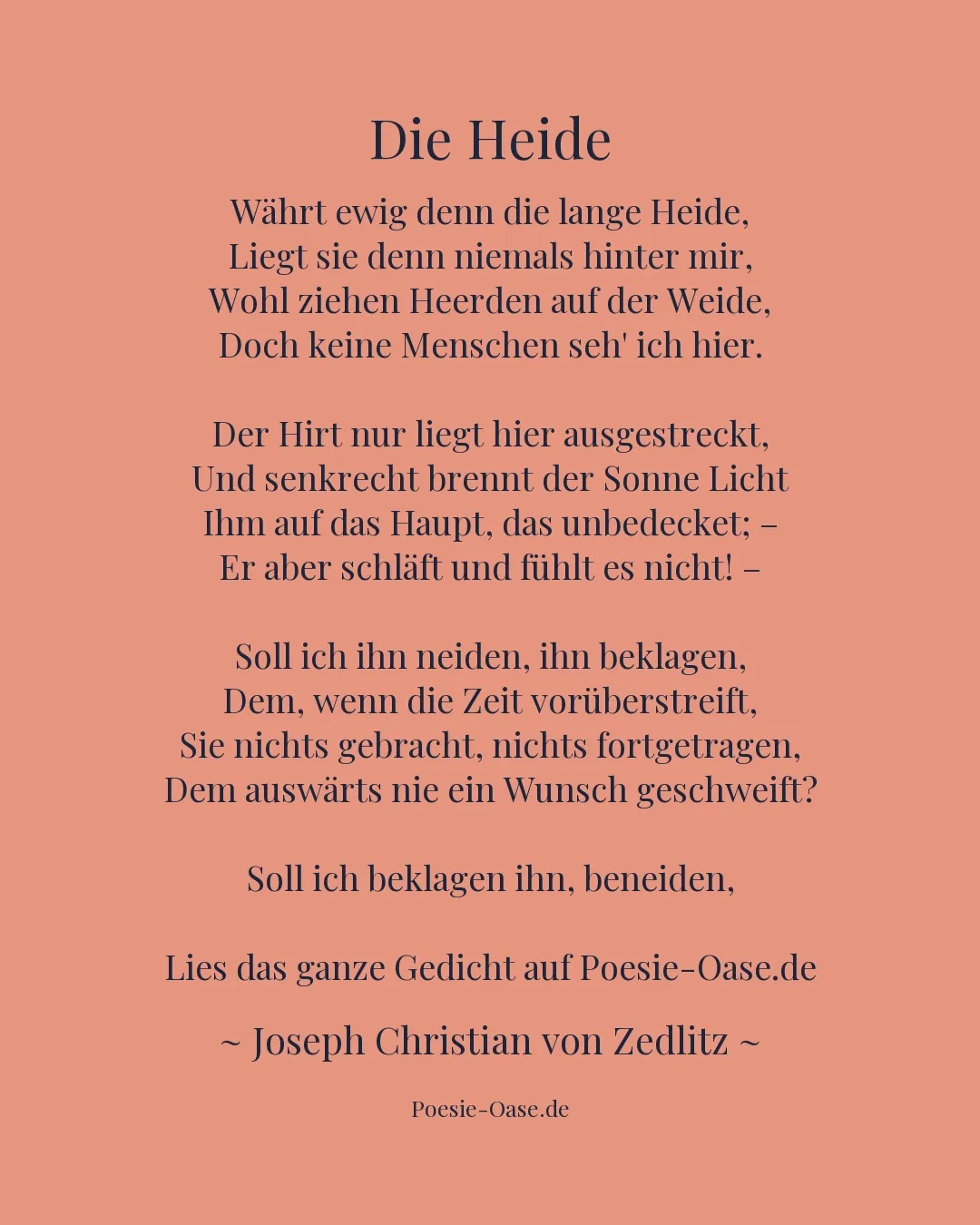 Illustration zu Die Heide