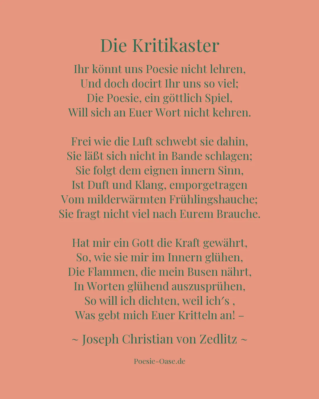 Illustration zu Die Kritikaster