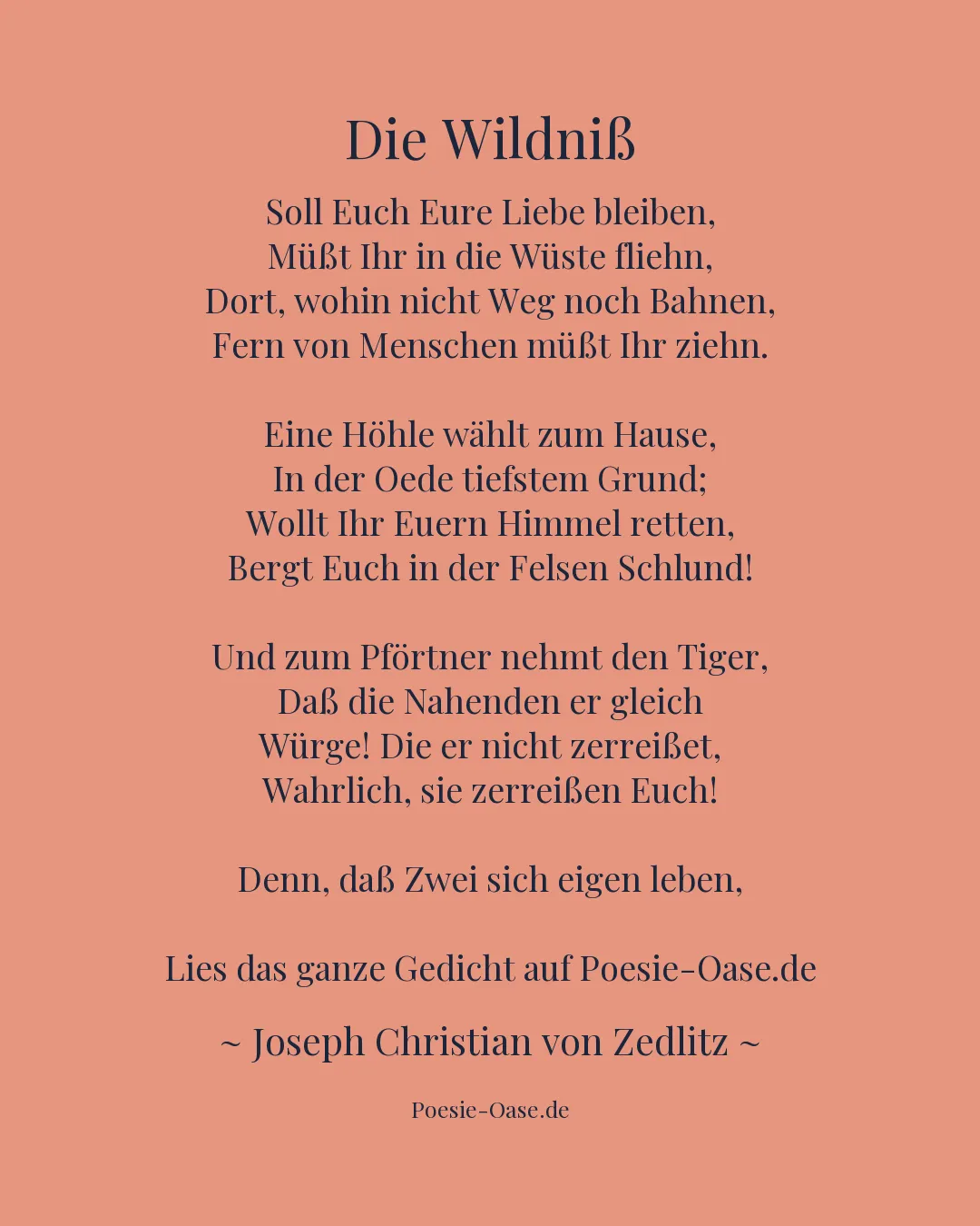 Illustration zu Die Wildniß