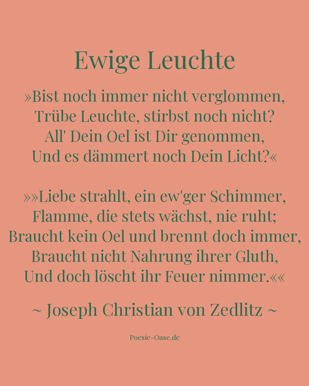 Illustration zu Ewige Leuchte