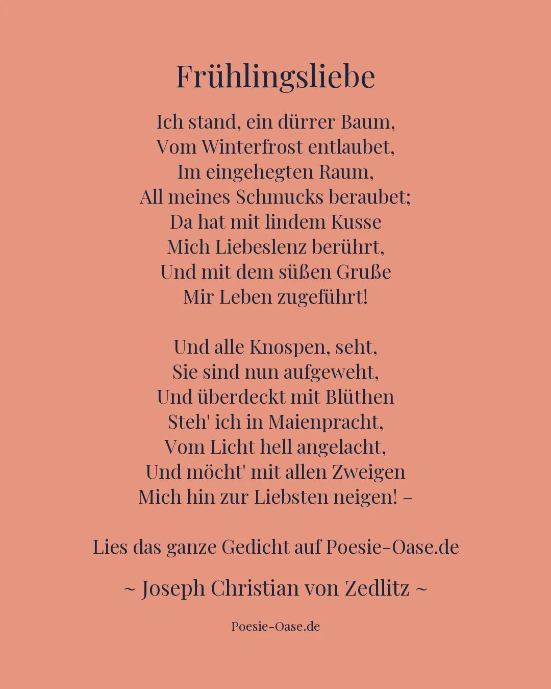 Illustration zu Frühlingsliebe