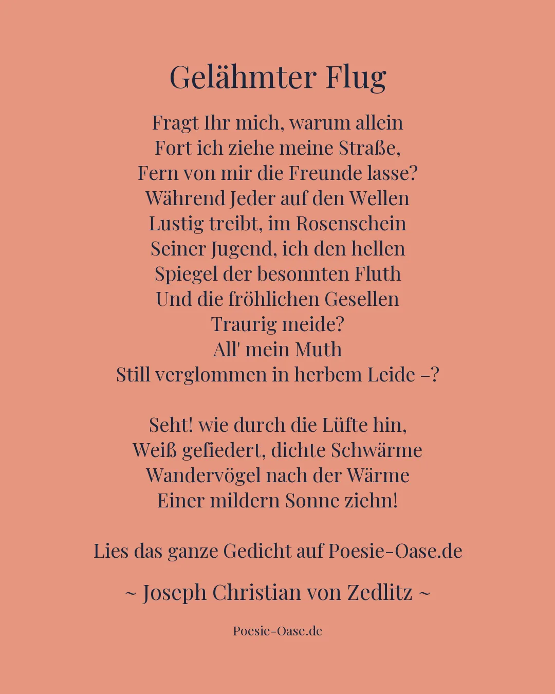 Illustration zu Gelähmter Flug