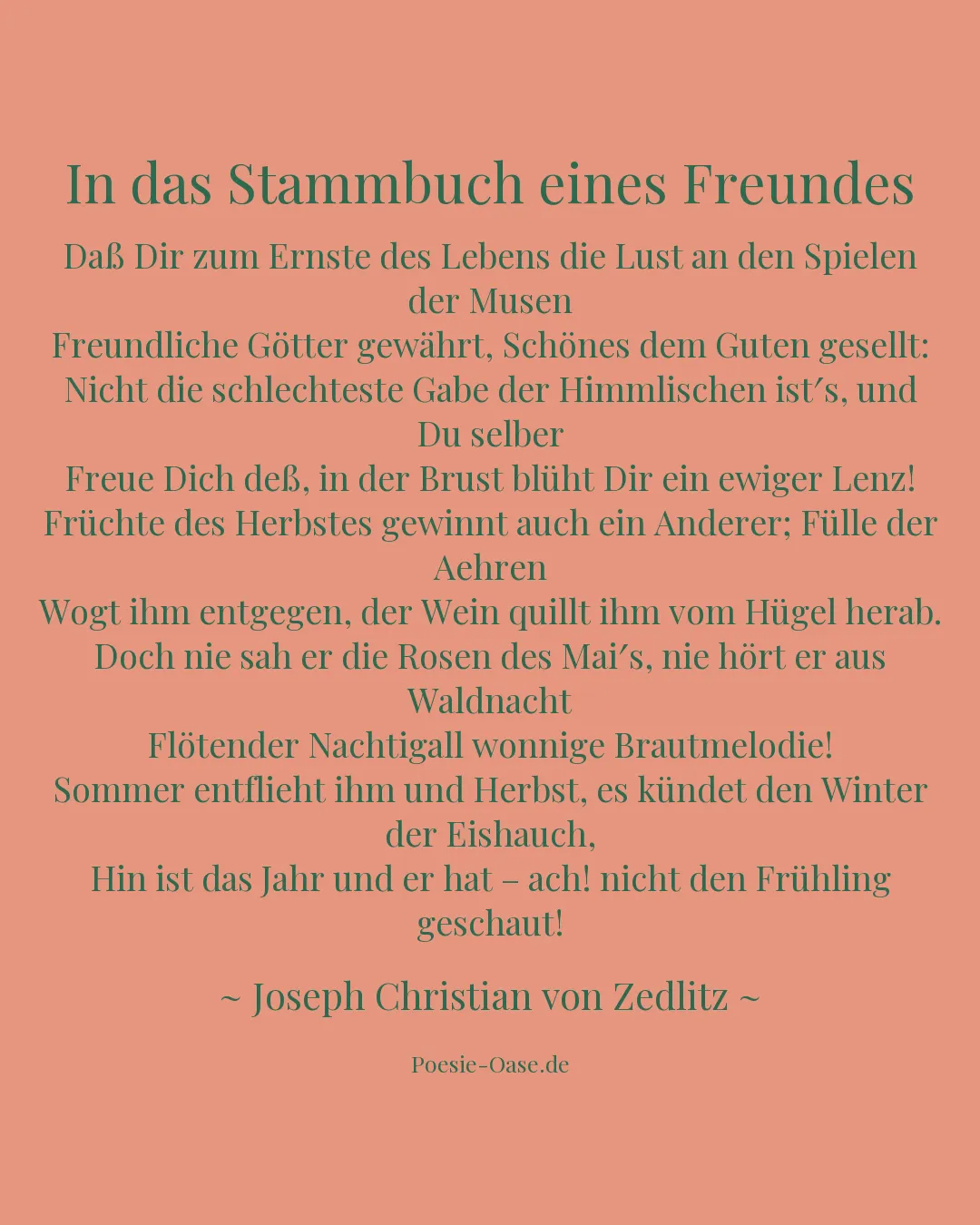 Illustration zu In das Stammbuch eines Freundes