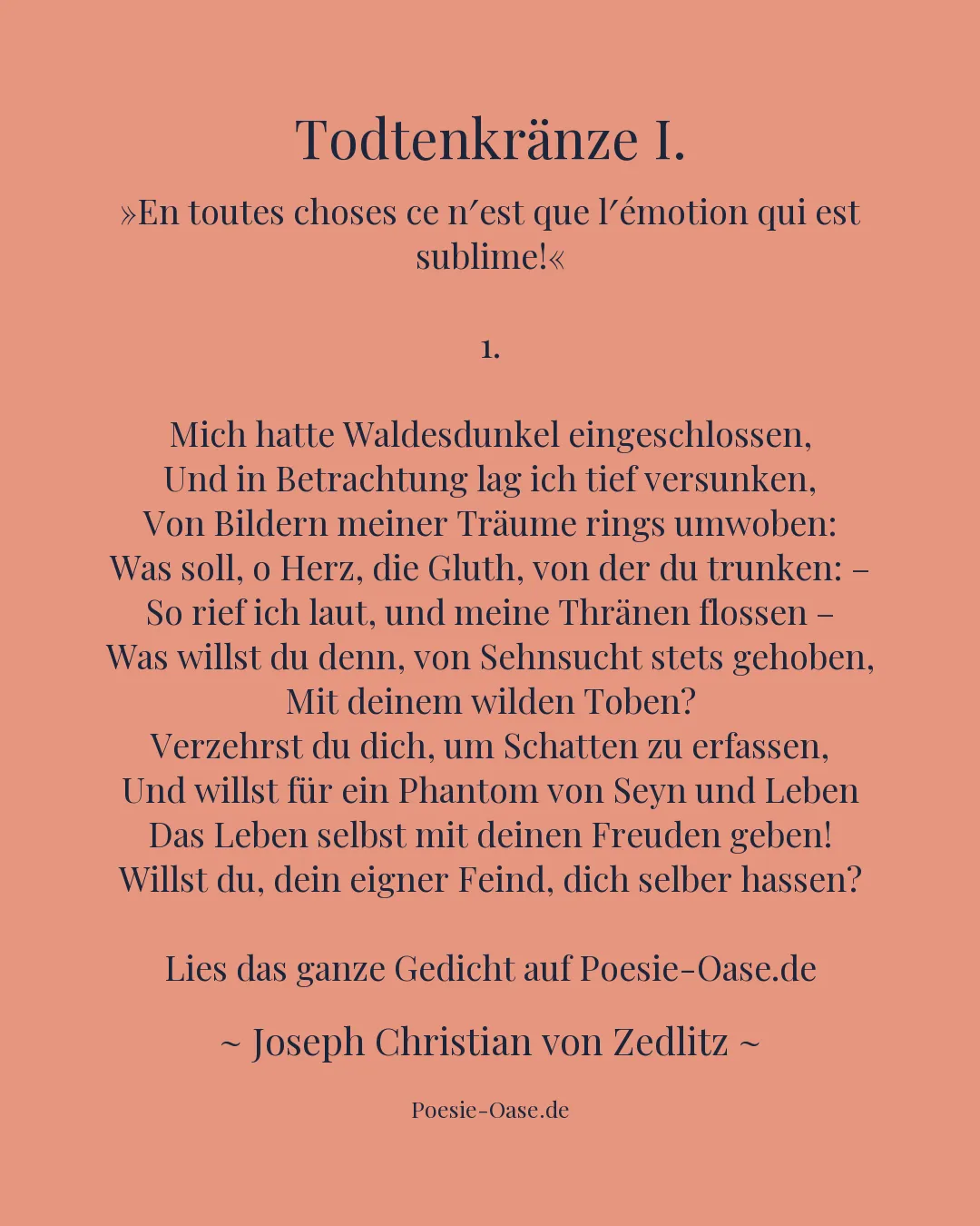 Illustration zu Todtenkränze I.