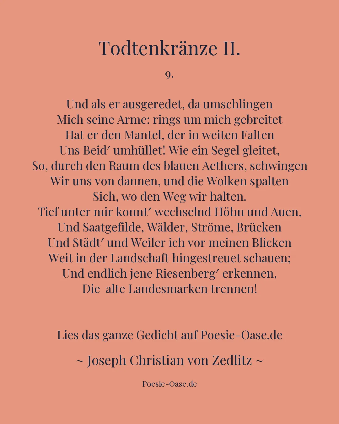 Illustration zu Todtenkränze II.