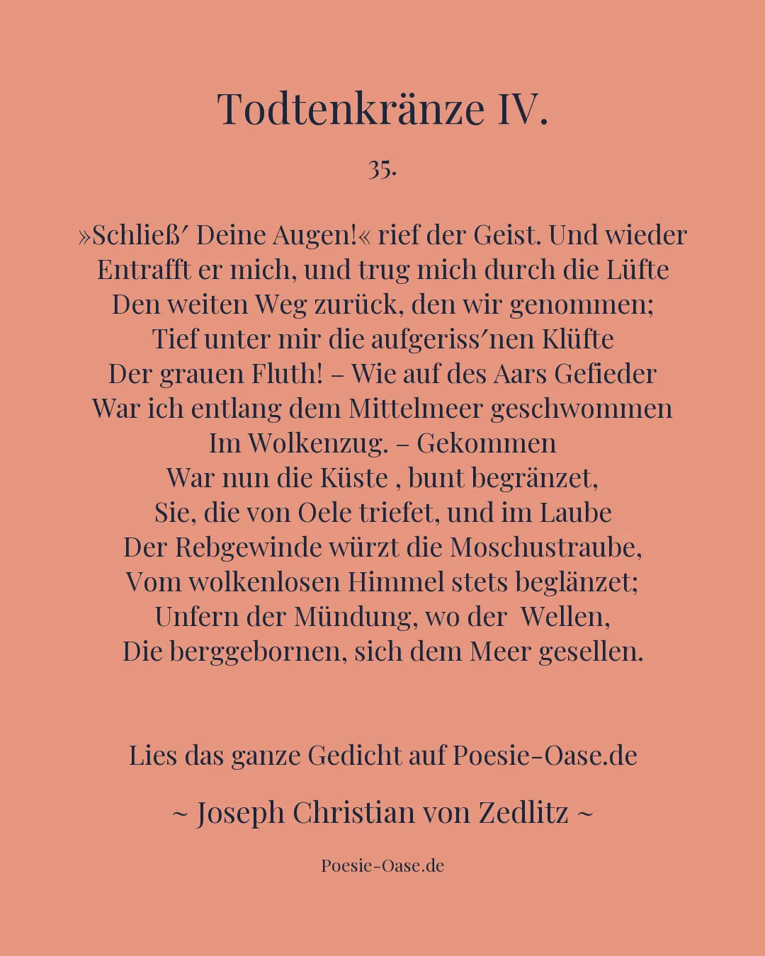 Illustration zu Todtenkränze IV.