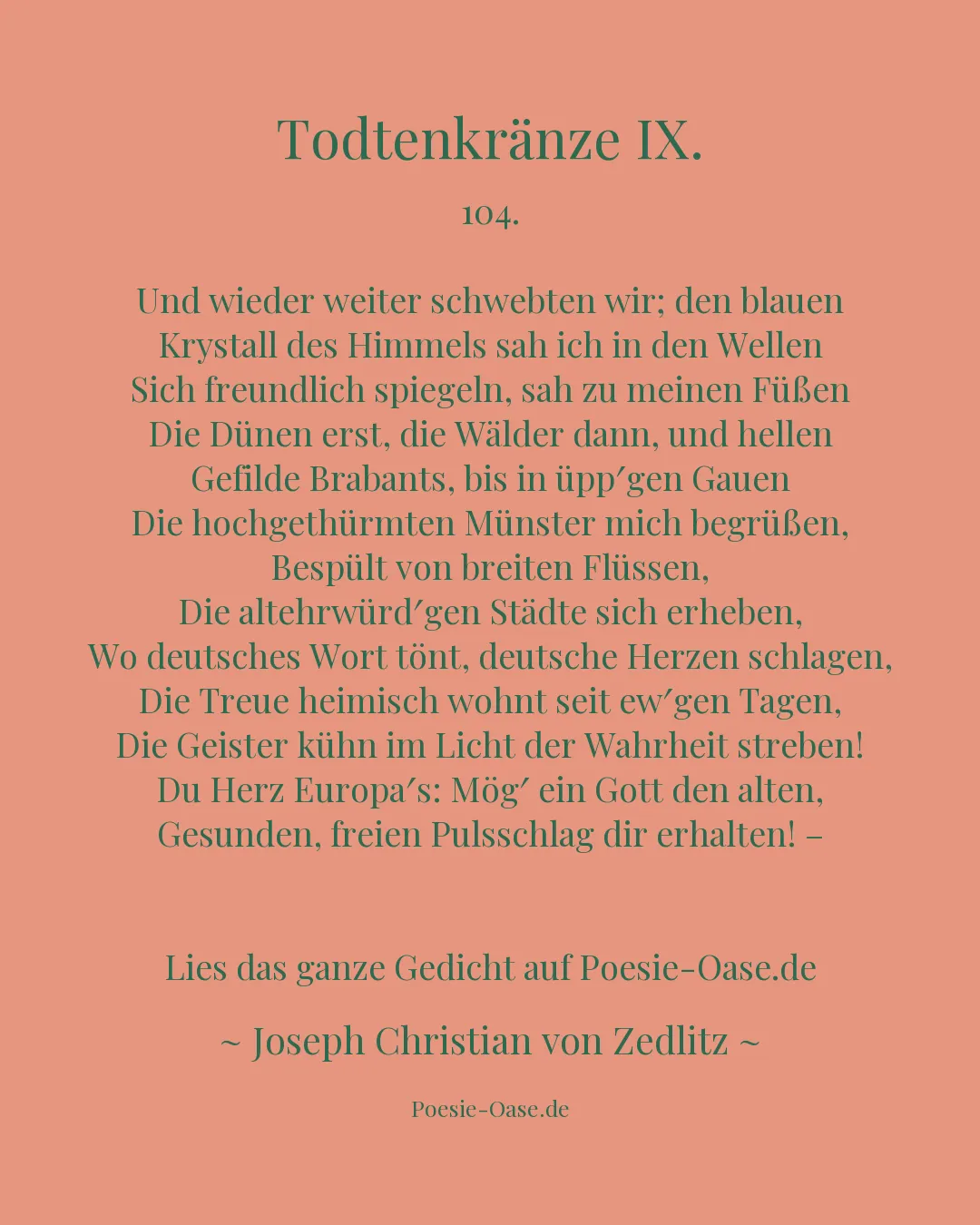 Illustration zu Todtenkränze IX.
