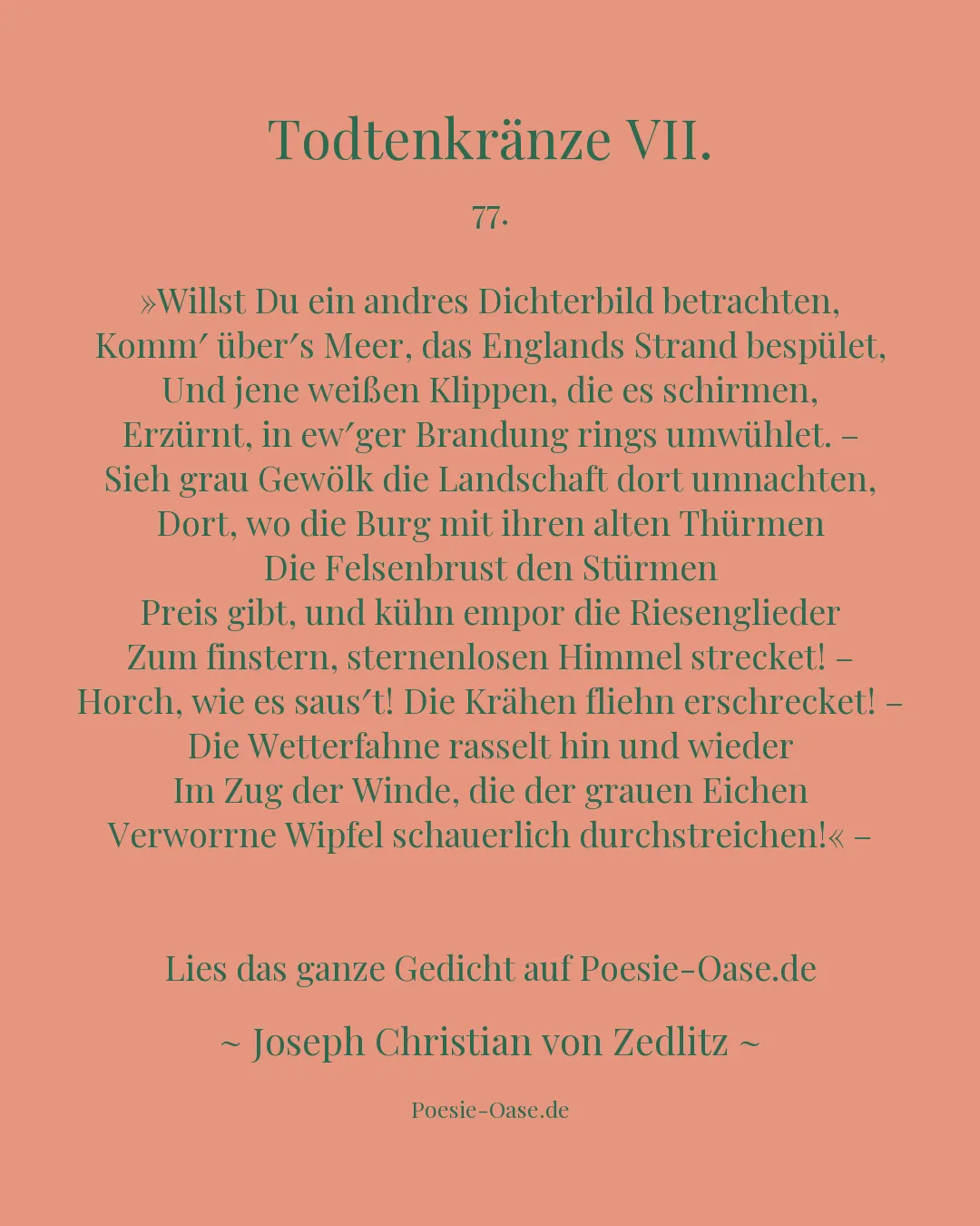 Illustration zu Todtenkränze VII.