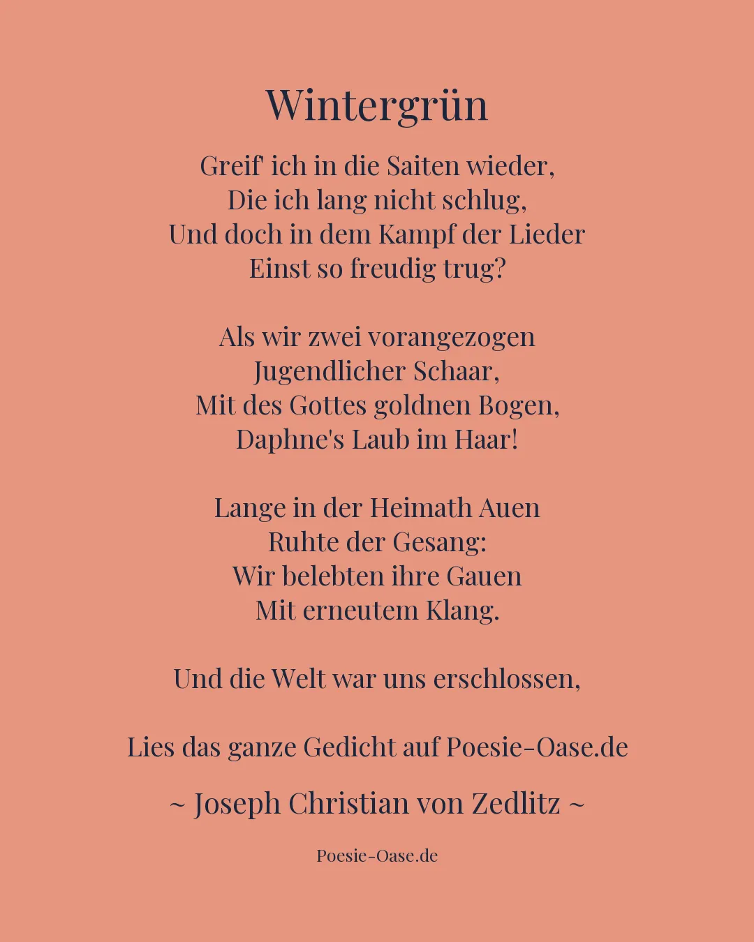 Illustration zu Wintergrün