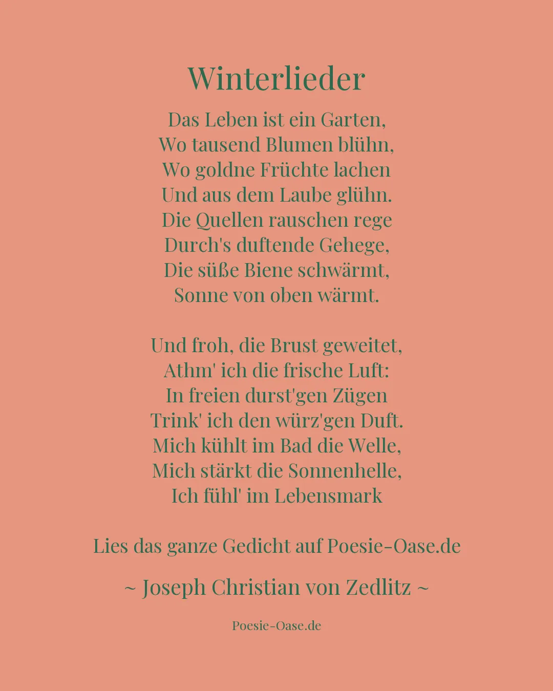Illustration zu Winterlieder