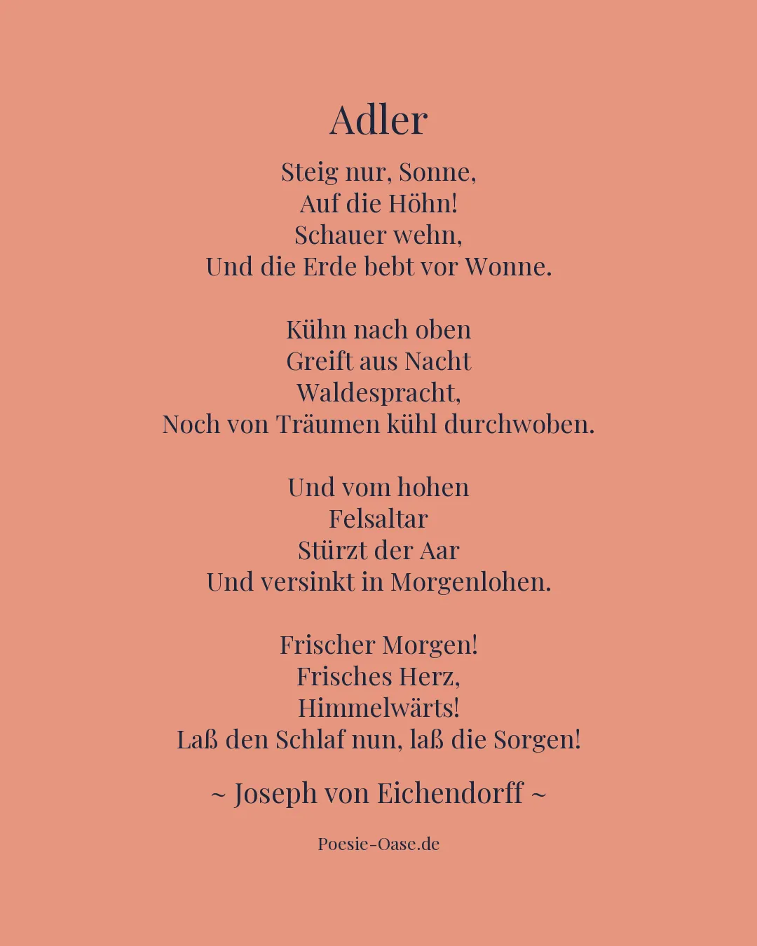 Illustration zu Adler