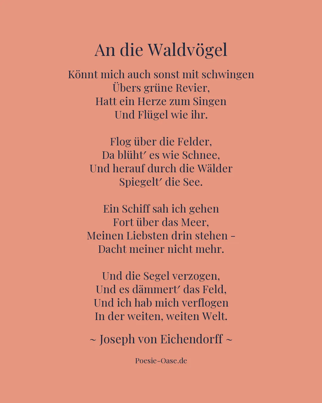 Illustration zu An die Waldvögel