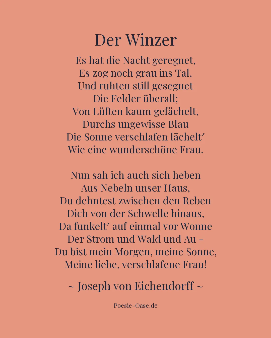 Illustration zu Der Winzer
