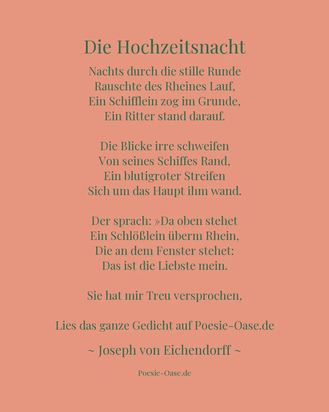 Illustration zu Die Hochzeitsnacht