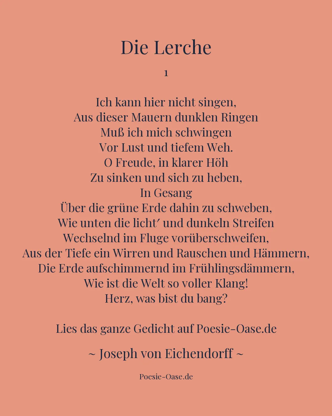 Illustration zu Die Lerche