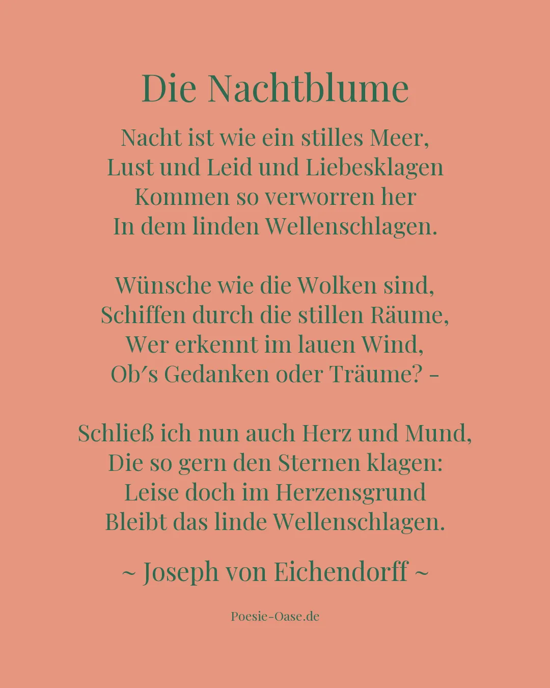 Illustration zu Die Nachtblume