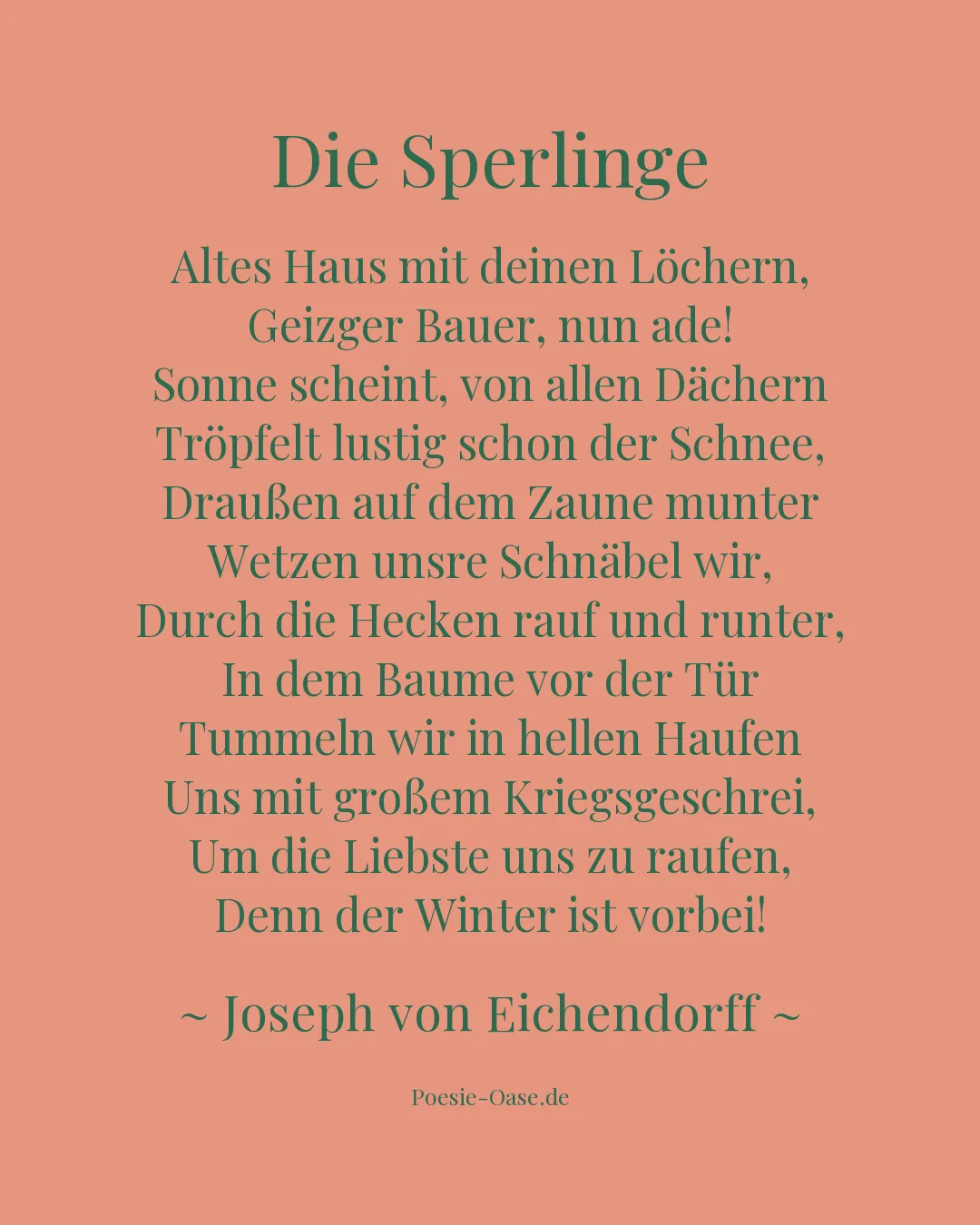 Illustration zu Die Sperlinge