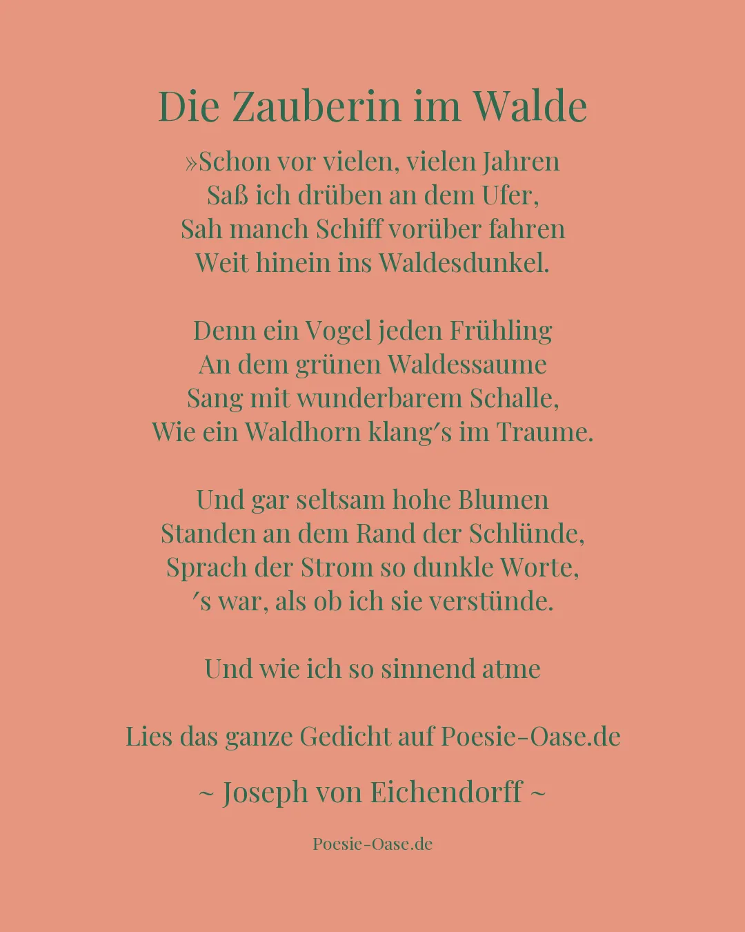 Illustration zu Die Zauberin im Walde