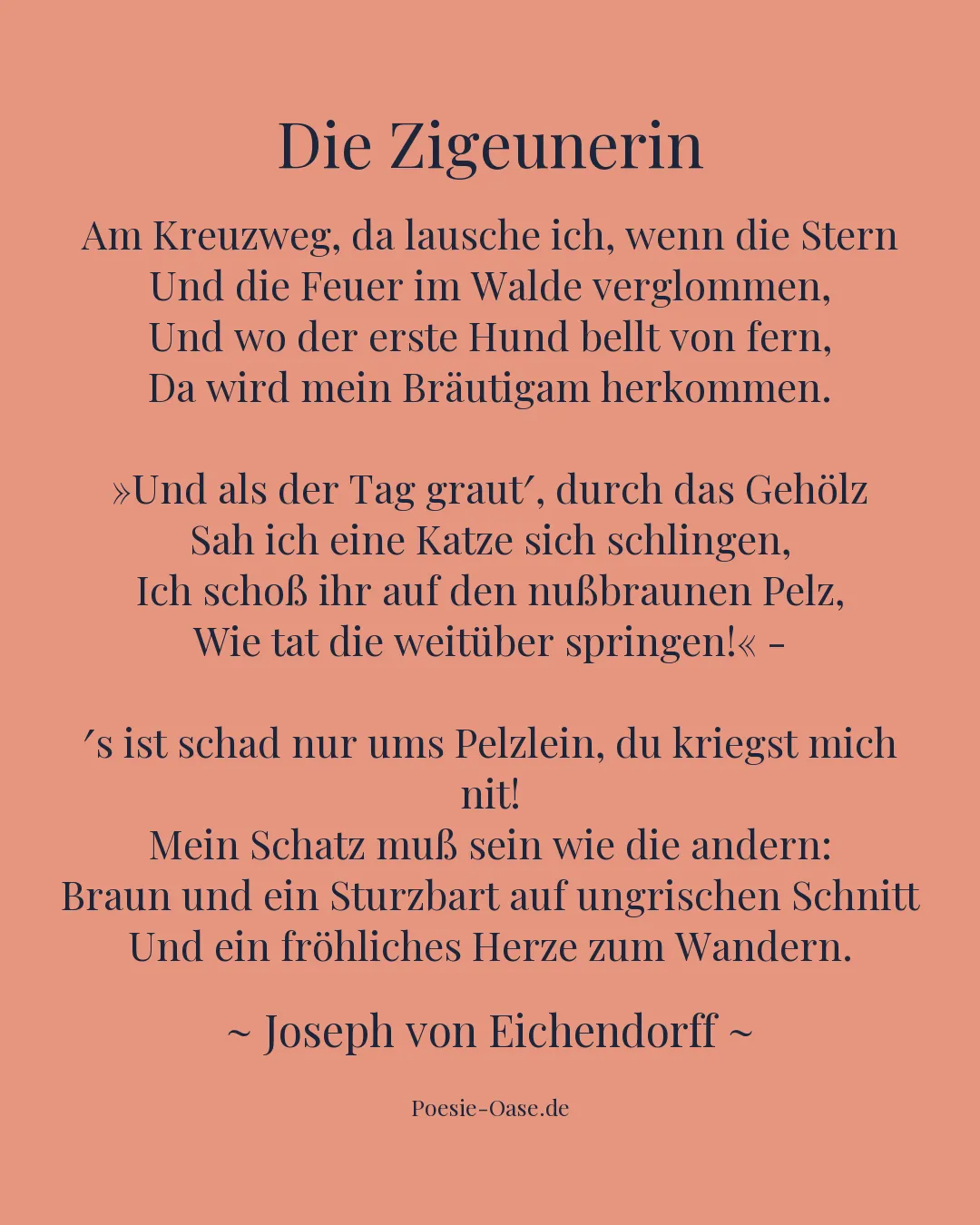 Illustration zu Die Zigeunerin