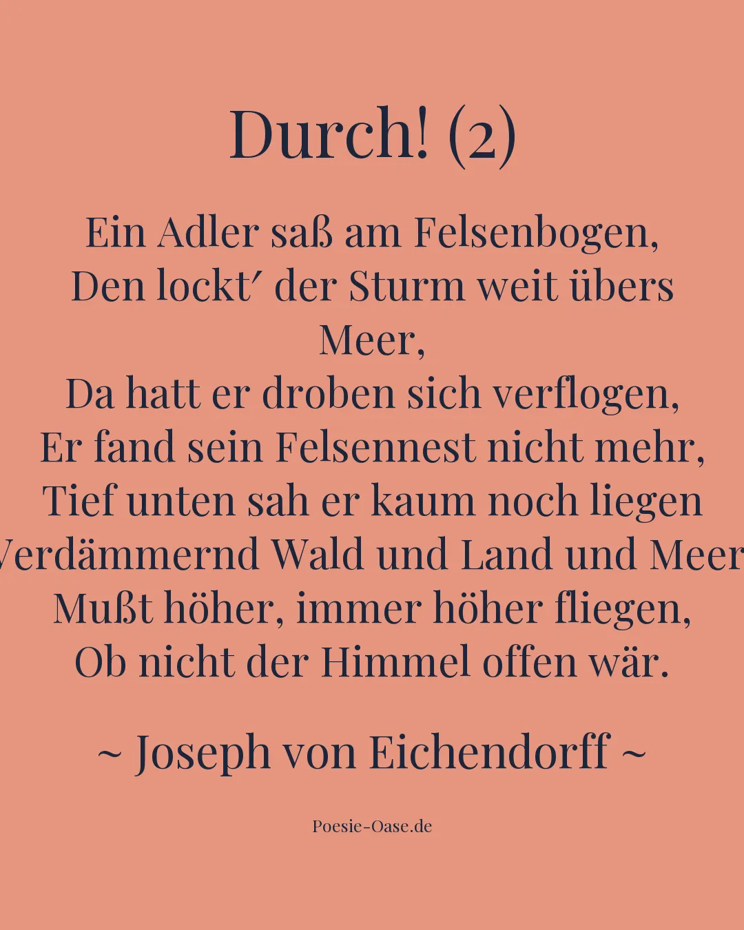 Illustration zu Durch! (2)