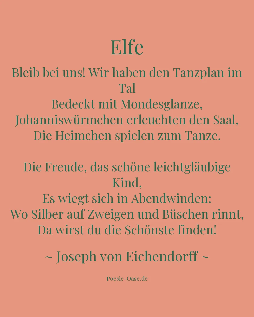 Illustration zu Elfe