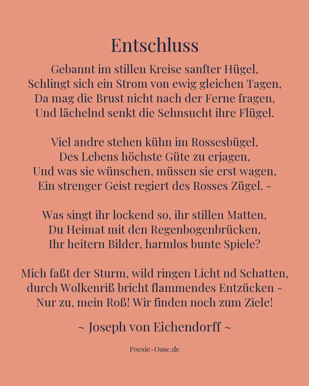Illustration zu Entschluss
