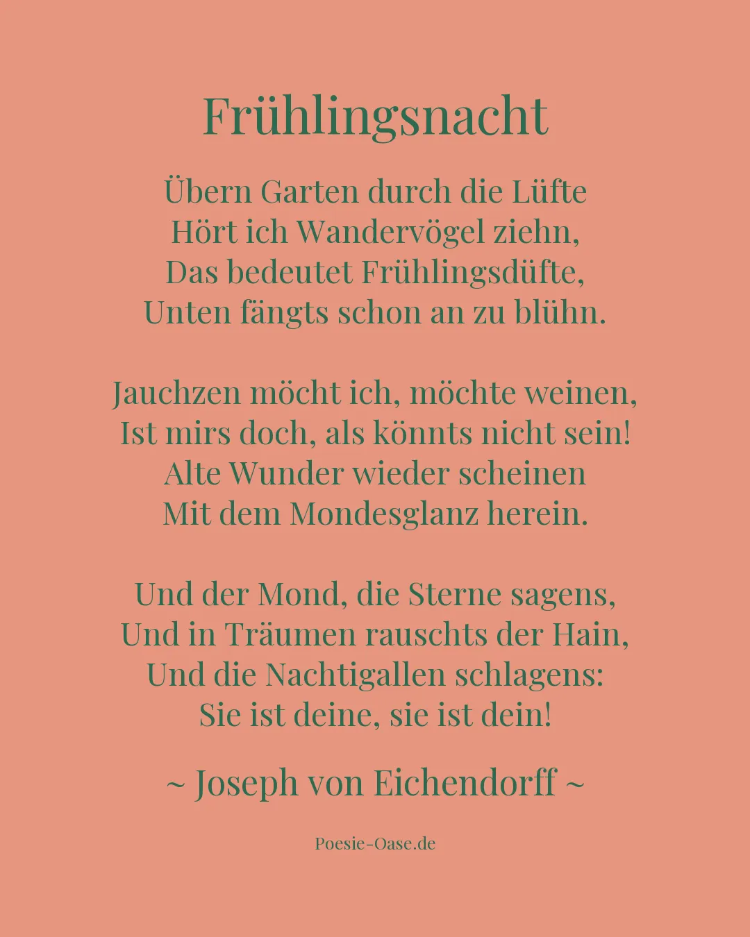 Illustration zu Frühlingsnacht