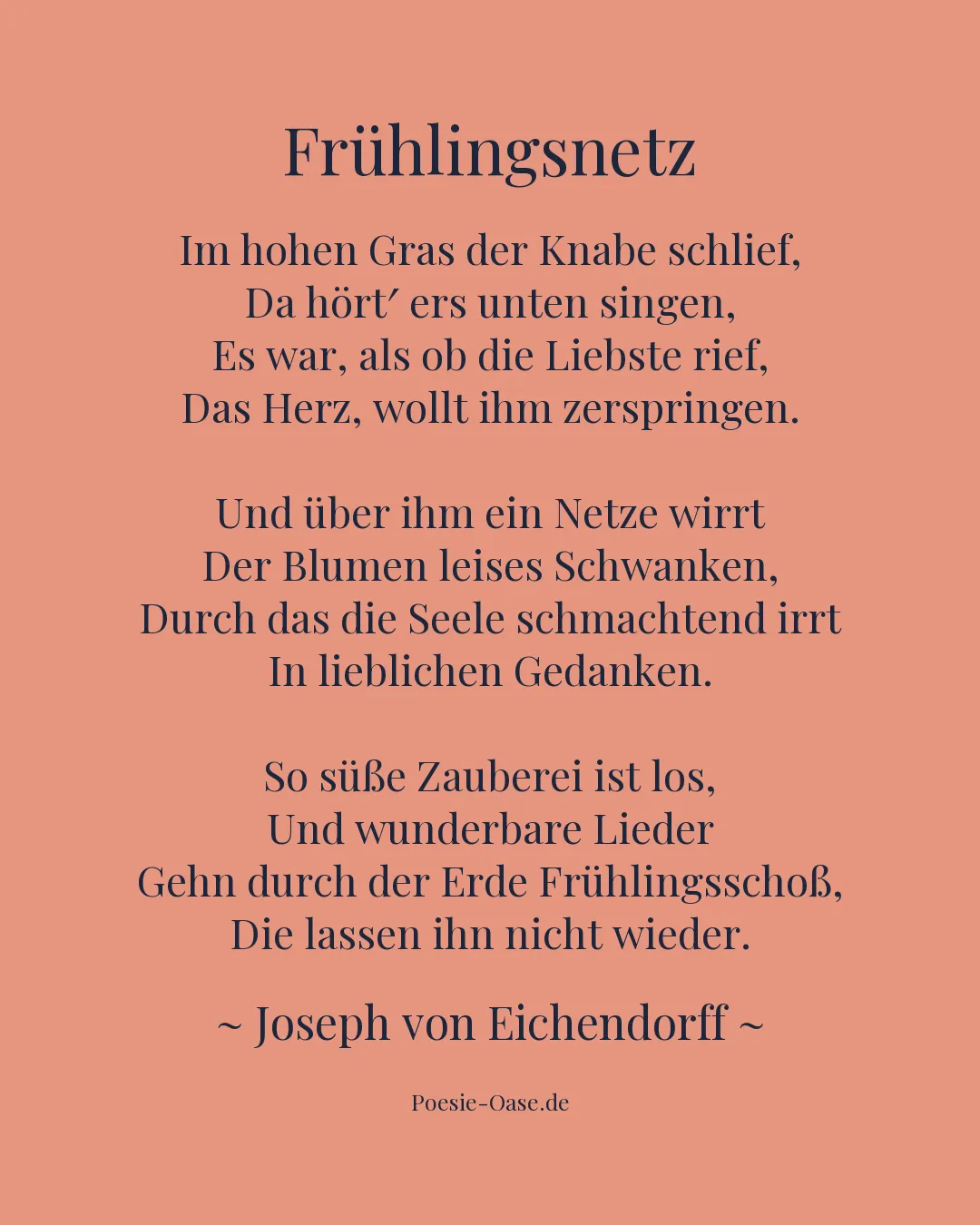 Illustration zu Frühlingsnetz