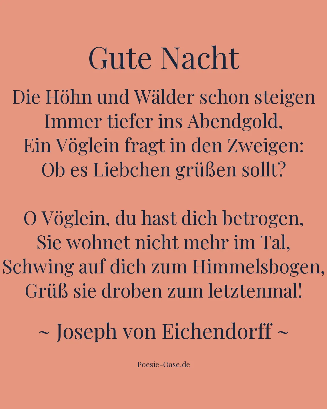 Illustration zu Gute Nacht