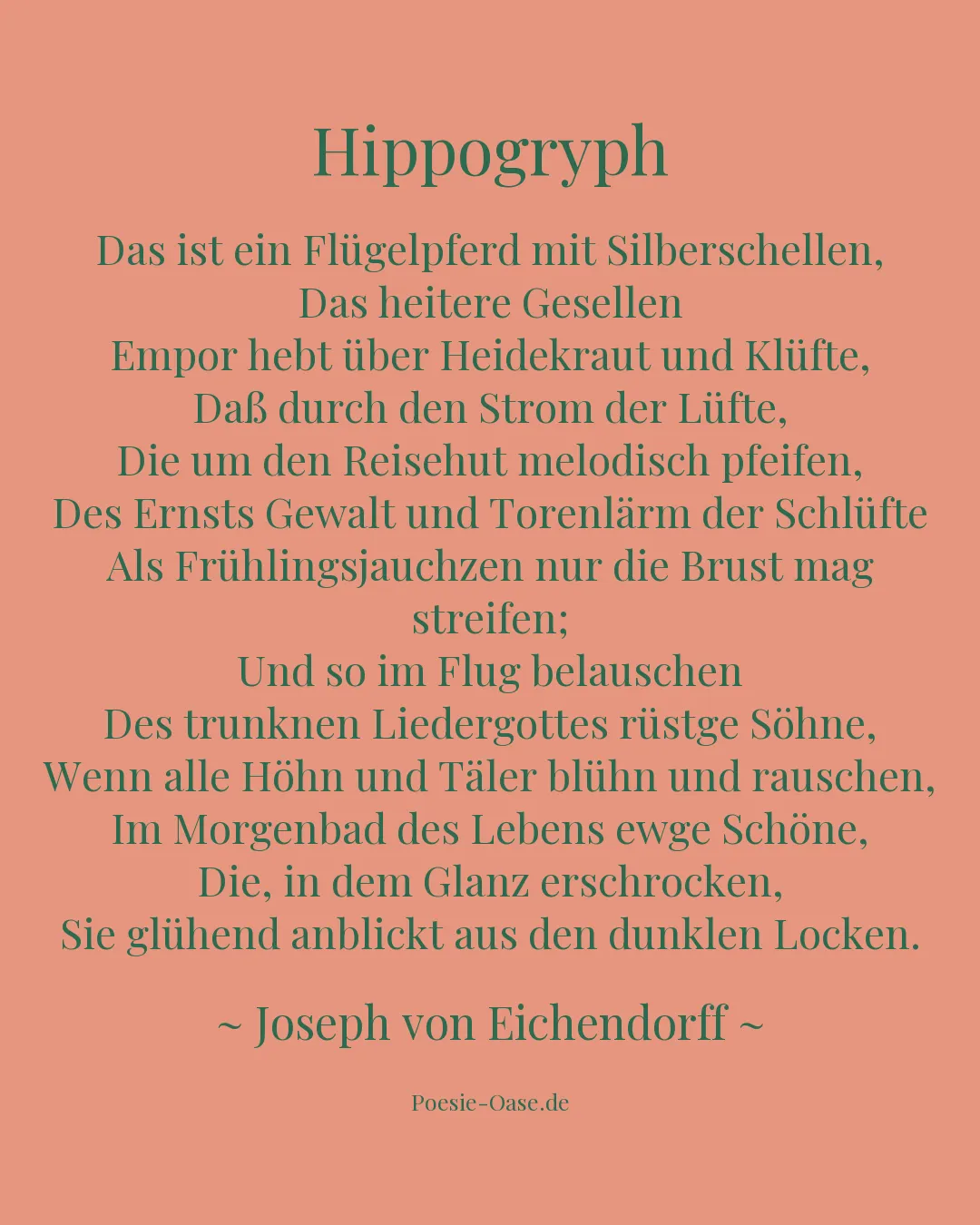 Illustration zu Hippogryph