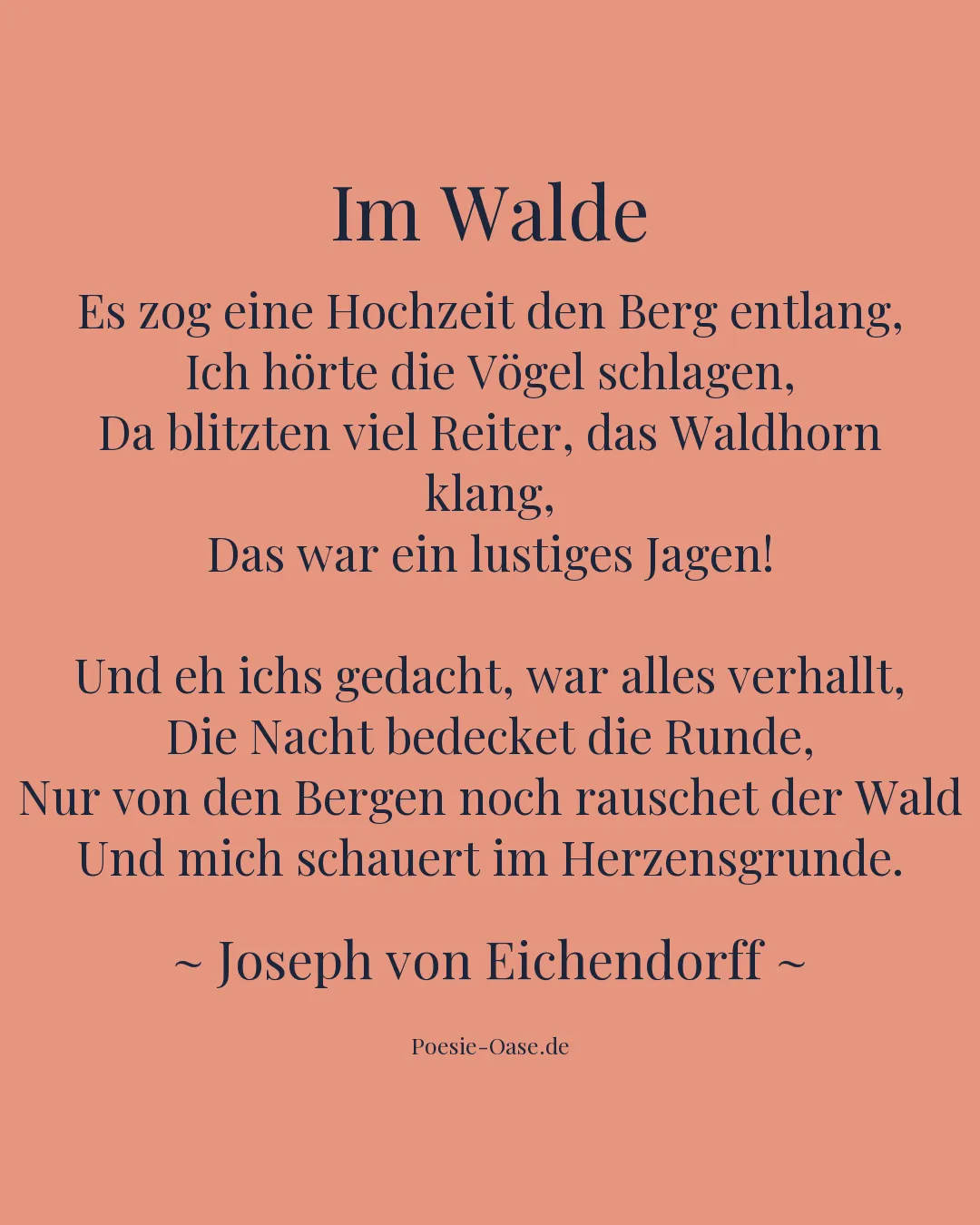 Illustration zu Im Walde