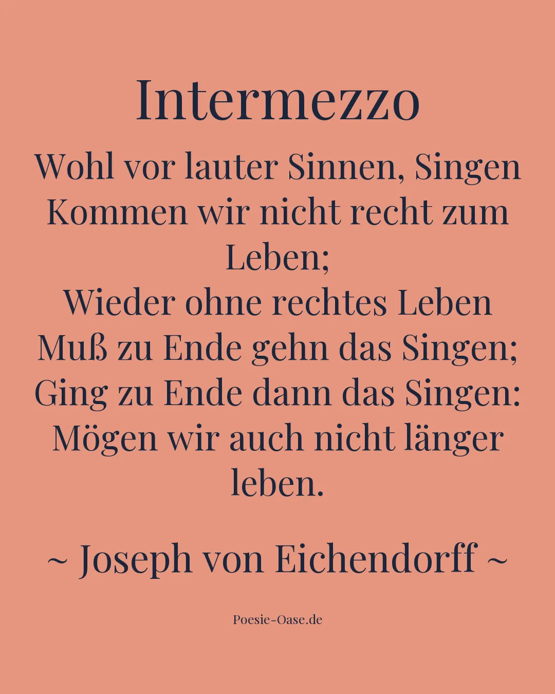 Illustration zu Intermezzo