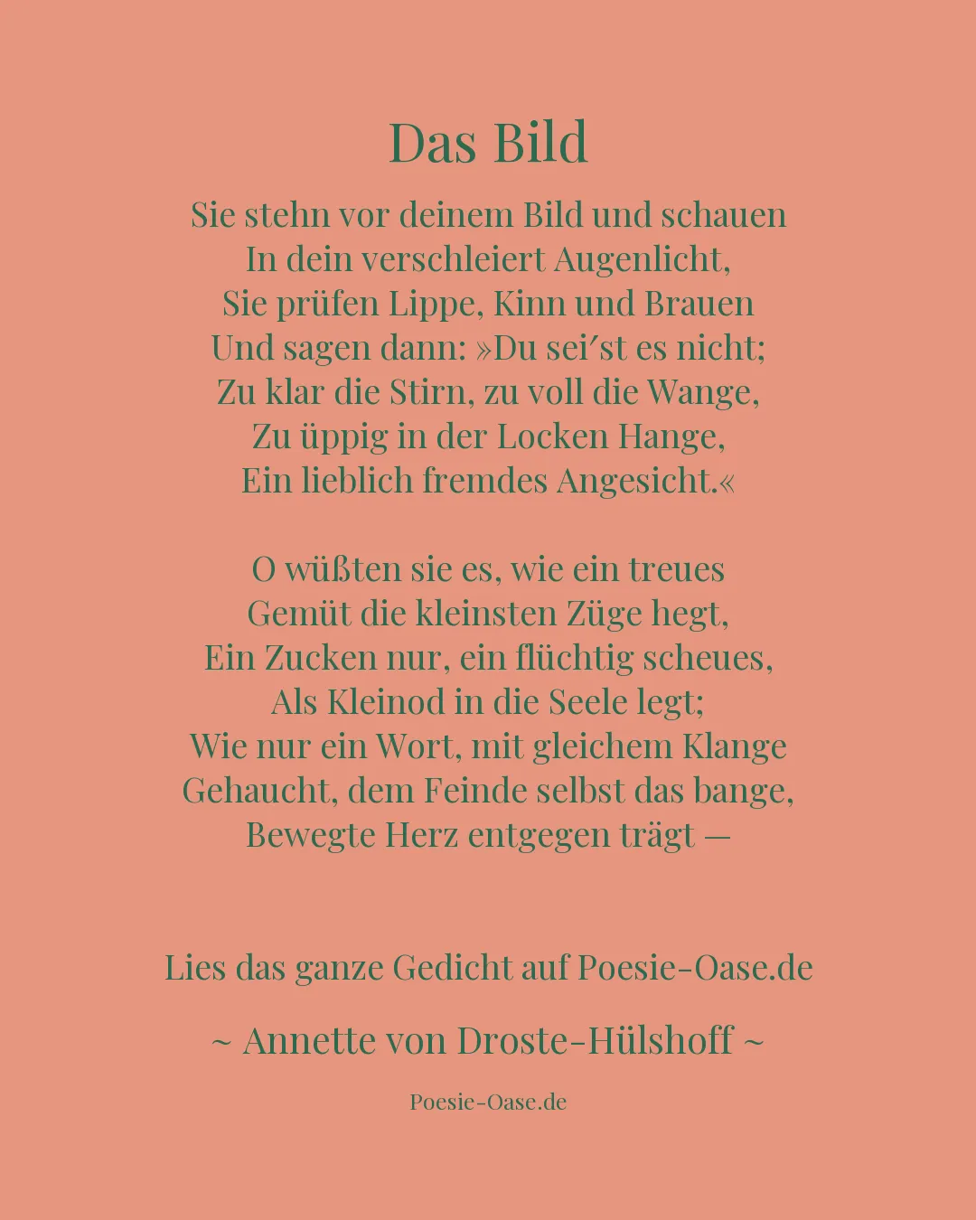 Illustration zu Das Bild