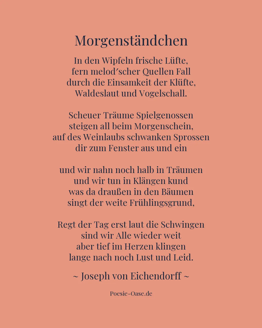 Illustration zu Morgenständchen