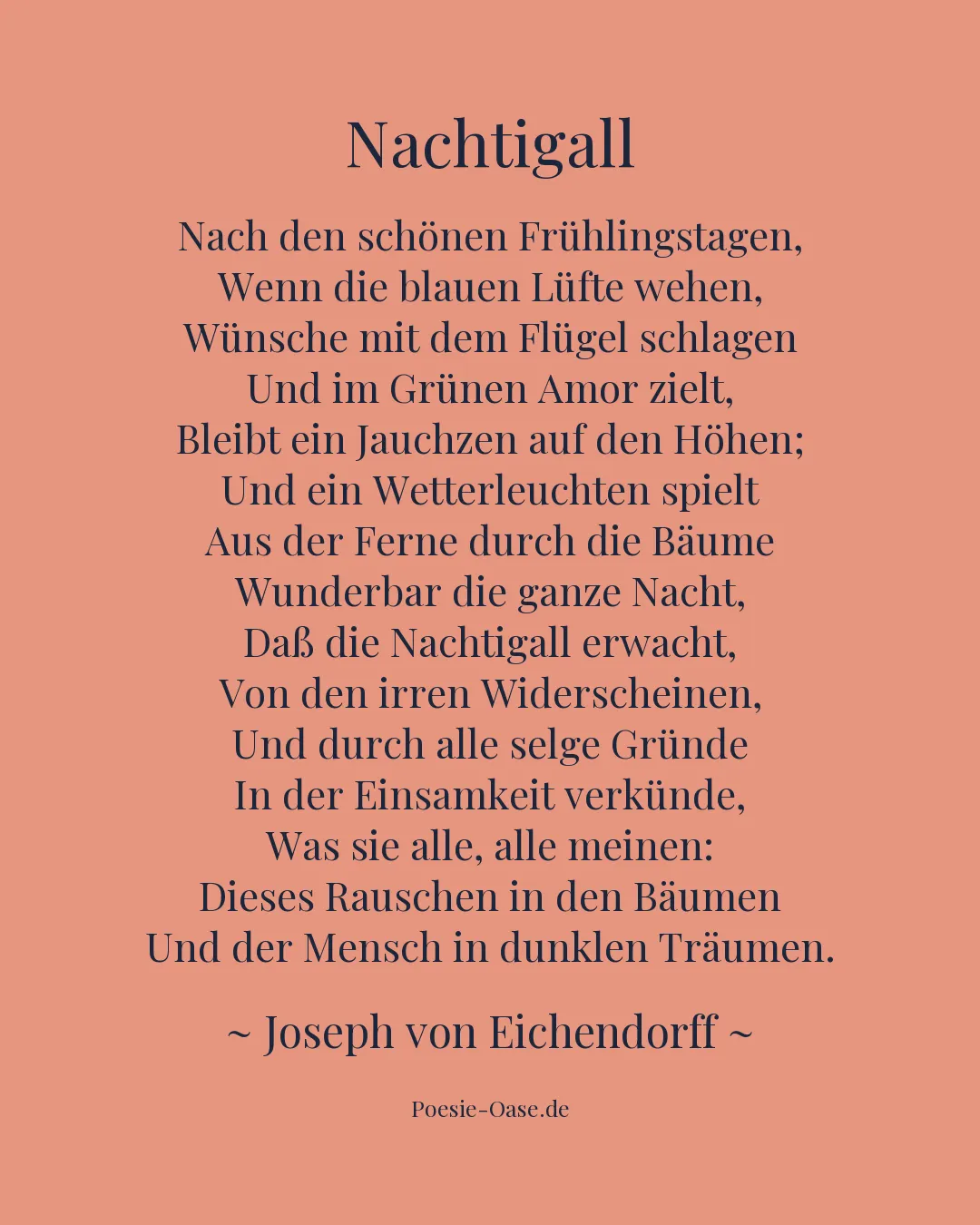 Illustration zu Nachtigall