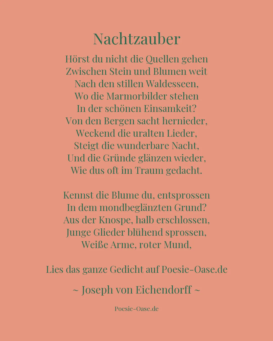 Illustration zu Nachtzauber