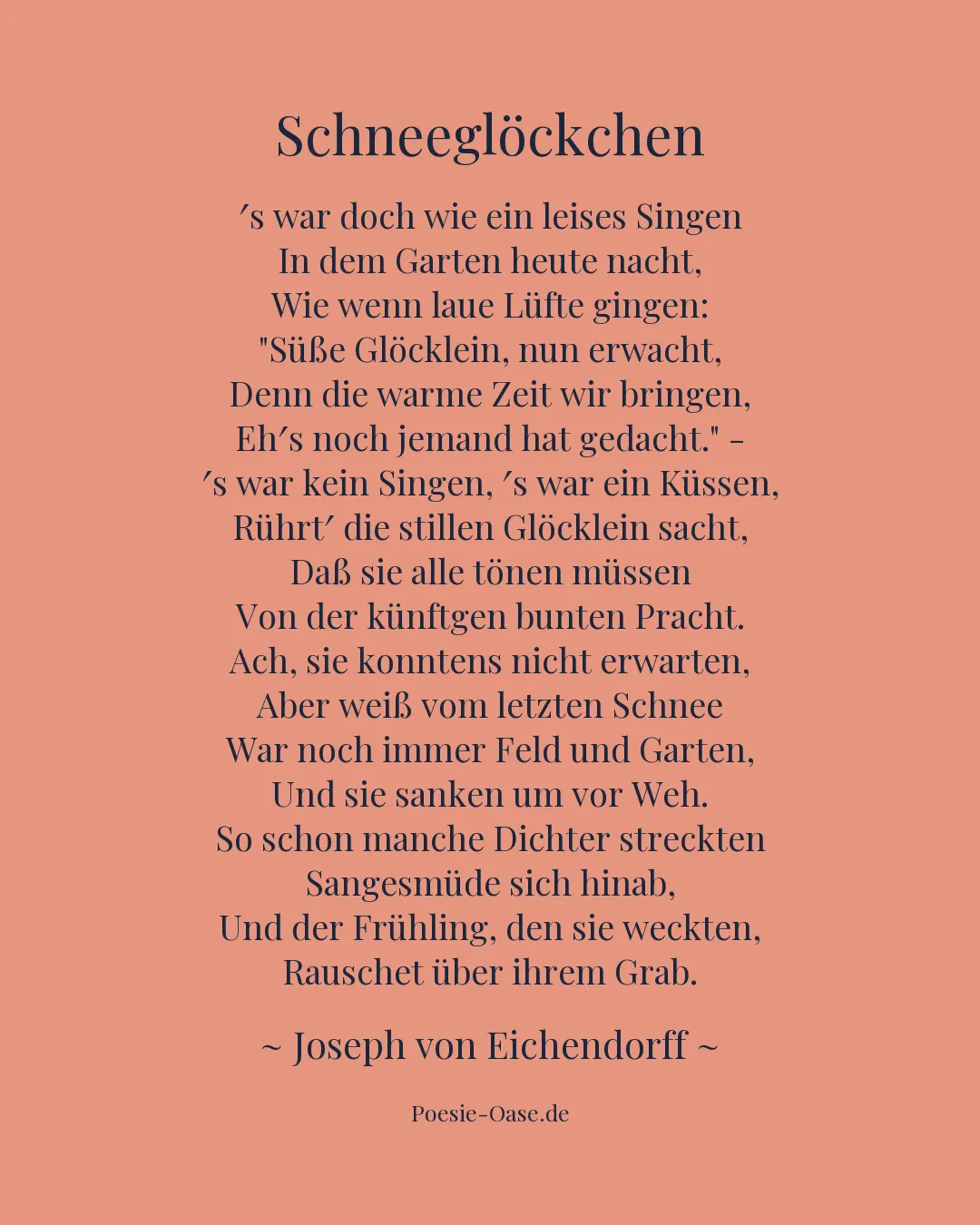 Illustration zu Schneeglöckchen