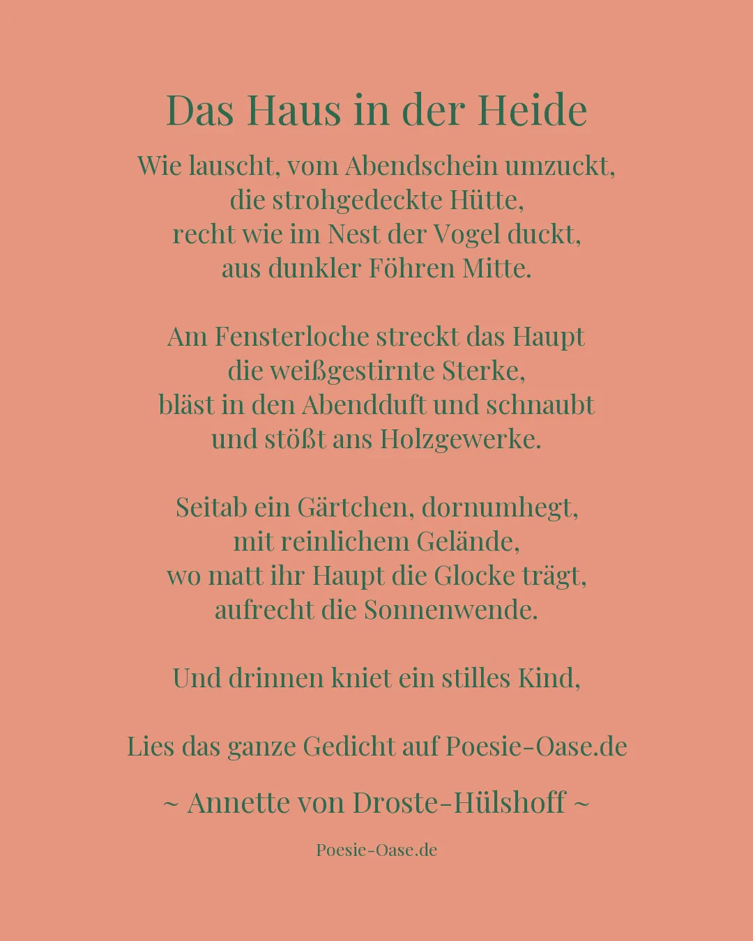 Illustration zu Das Haus in der Heide