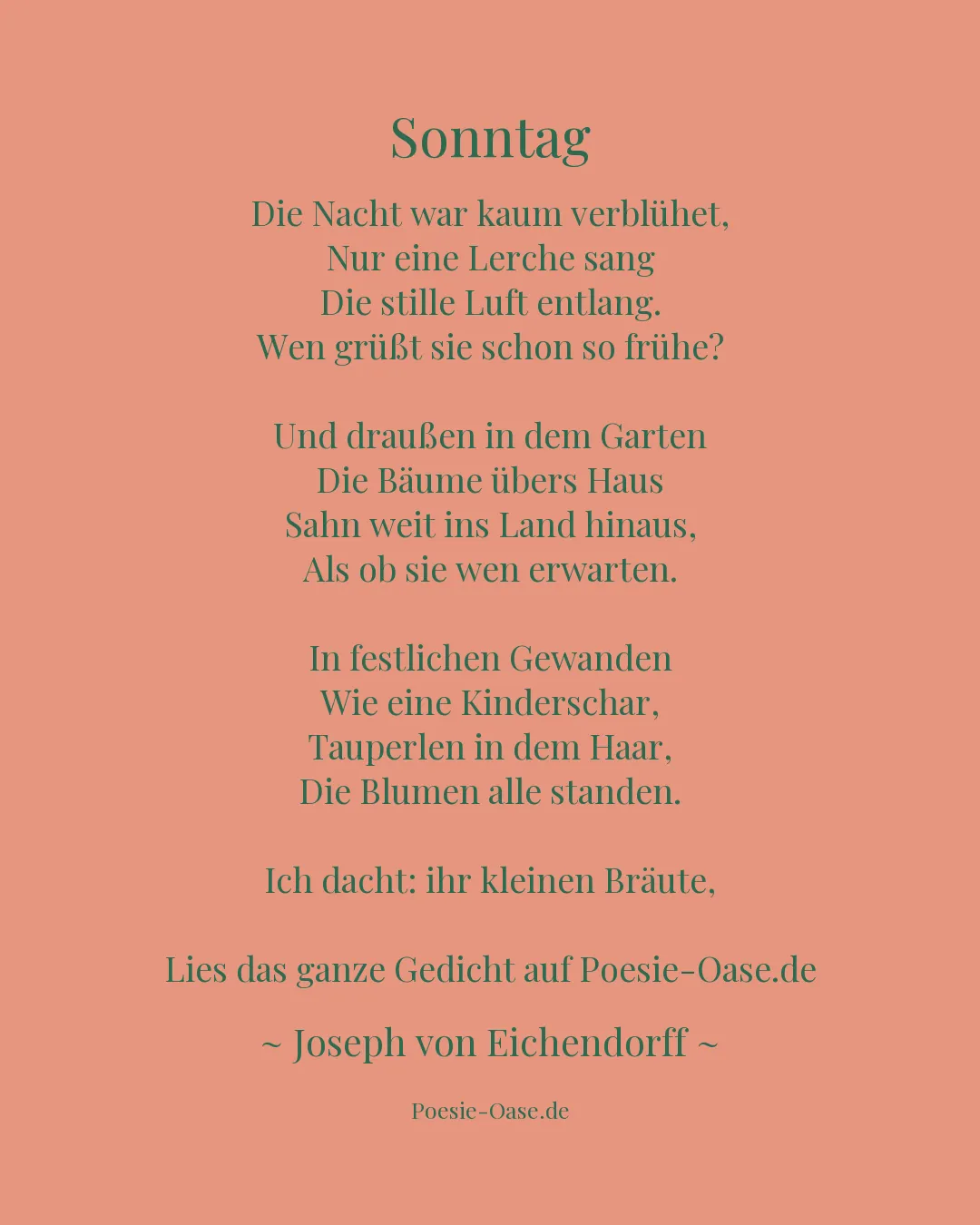 Illustration zu Sonntag